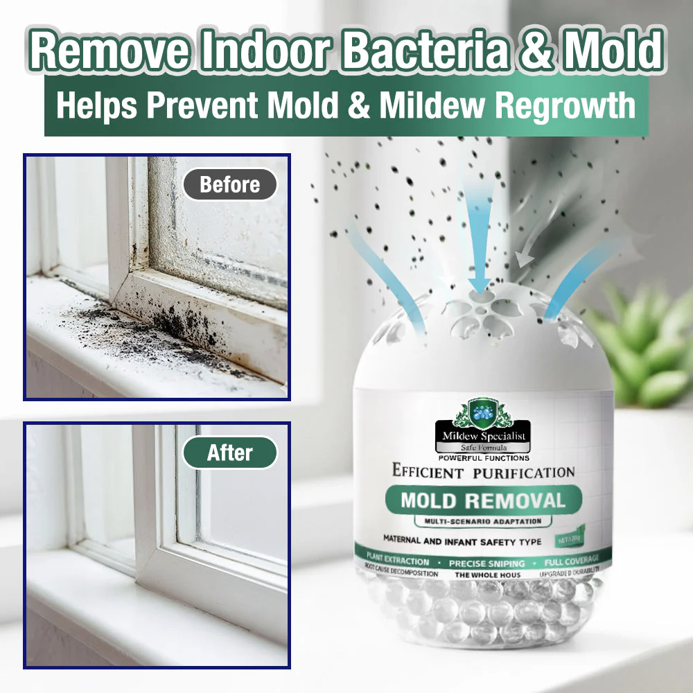 Daphtora® MoldiZero Mildew Clearing Magic Box - Image 8